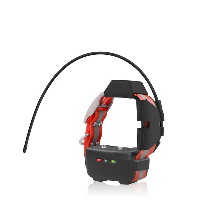 قلاده سگ مینی جی پی اس