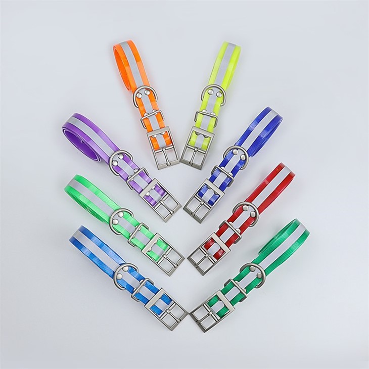 Premium TR-Dog Hunting Dog Collar Leash